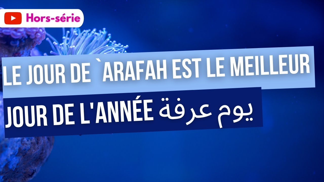 Lire la suite à propos de l’article 06/ Le jour de `arafah est le meilleur jour de l’année يوم عرفة