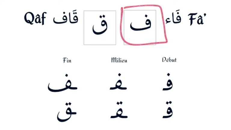 Lire la suite à propos de l’article Leçon d’arabe 19: Les lettre fâ’ (ف) et qâf (ق)