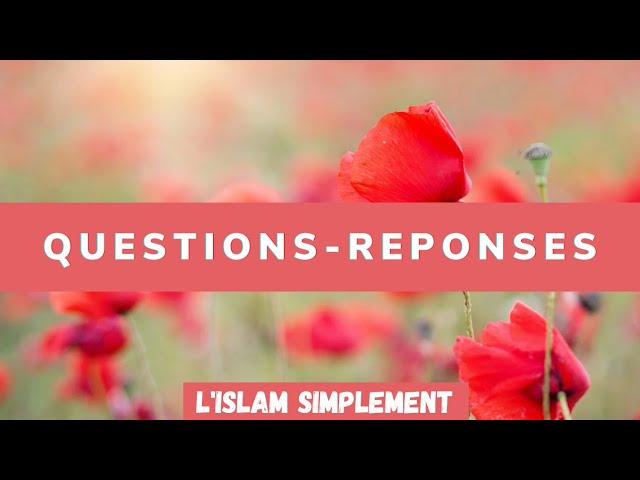 Lire la suite à propos de l’article Questions Réponses sur l’Islam