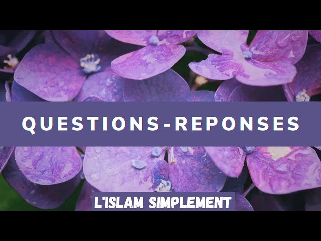 Lire la suite à propos de l’article Posez vos questions sur l’Islam en Live 15/12/2022